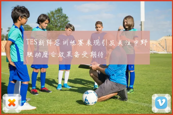 TES新阵容训练赛表现引发关注中野联动磨合效果备受期待